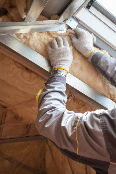 Best Eco-Friendly Insulation in Orange Beach, AL