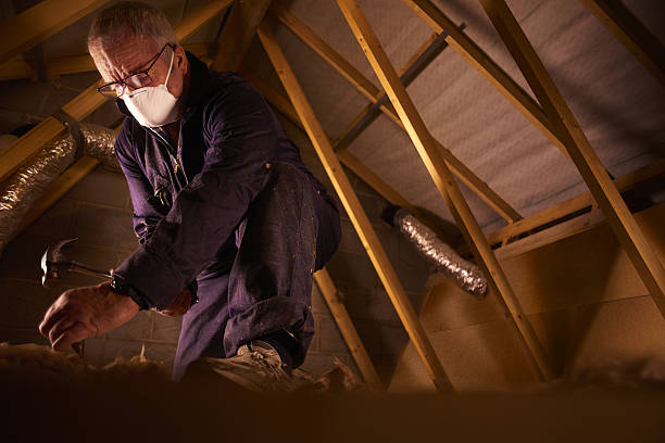 Best Spray Foam Insulation in Orange Beach, AL